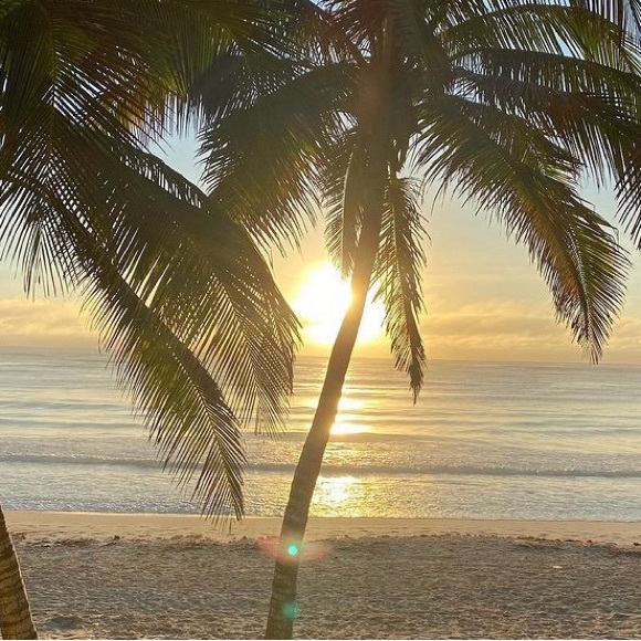 Meet your Posher, Bobbi - Picture 1 of 2